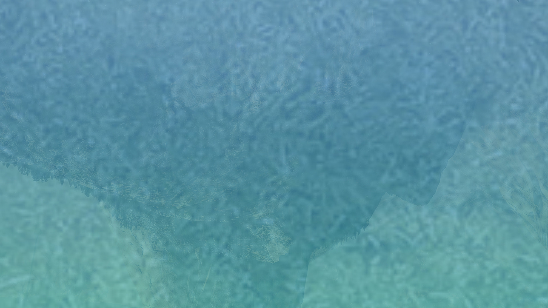 软件市场可靠的短信测压平台